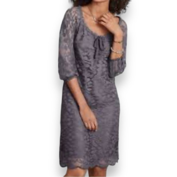 Garnet Hill Boheme Easy Lace Dress Gray 3/4 Sleeves Lined Fairy whimsigoth SZ 6 - Picture 2 of 10